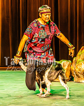 2026 Mutts in Motion - Rehearsal 6 - TJP (11 of 59)