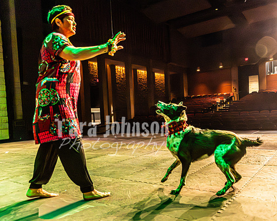 2026 Mutts in Motion - Rehearsal 6 - TJP (9 of 59)