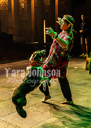 2026 Mutts in Motion - Rehearsal 6 - TJP (20 of 59)