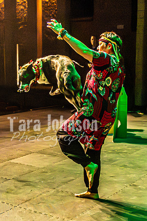 2026 Mutts in Motion - Rehearsal 6 - TJP (22 of 59)