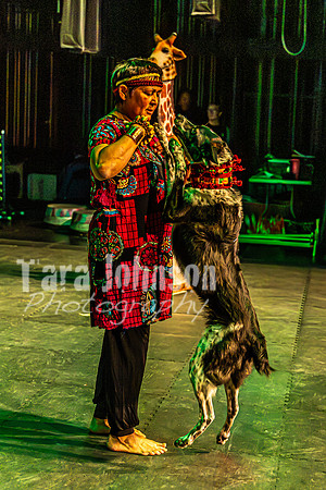 2026 Mutts in Motion - Rehearsal 6 - TJP (30 of 59)