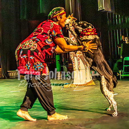 2026 Mutts in Motion - Rehearsal 6 - TJP (32 of 59)