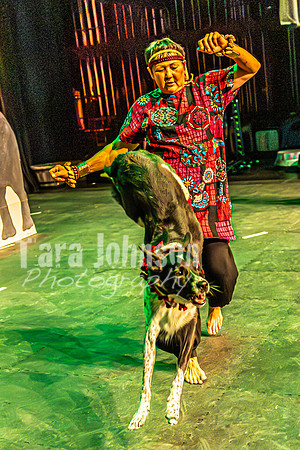 2026 Mutts in Motion - Rehearsal 6 - TJP (40 of 59)