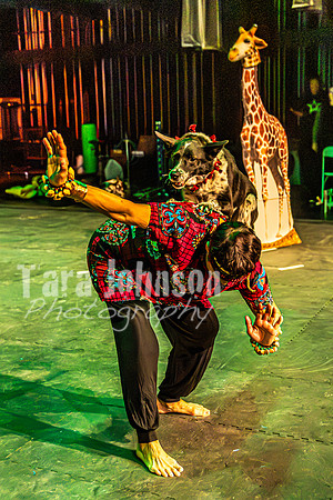 2026 Mutts in Motion - Rehearsal 6 - TJP (42 of 59)