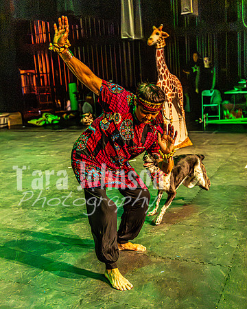 2026 Mutts in Motion - Rehearsal 6 - TJP (41 of 59)