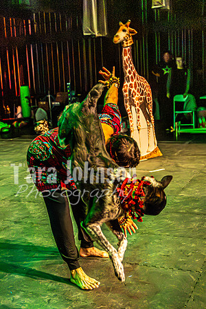 2026 Mutts in Motion - Rehearsal 6 - TJP (44 of 59)