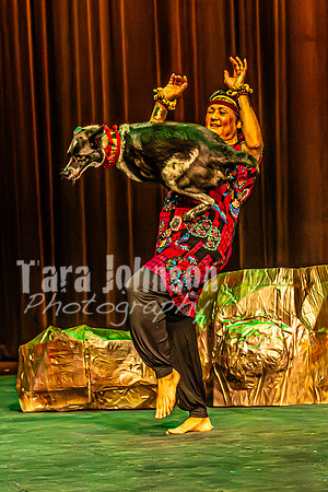 2026 Mutts in Motion - Rehearsal 6 - TJP (48 of 59)