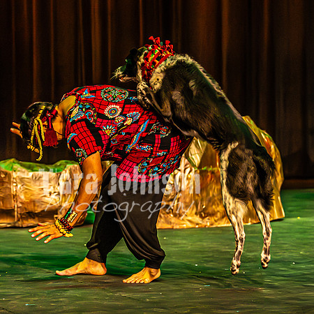 2026 Mutts in Motion - Rehearsal 6 - TJP (50 of 59)