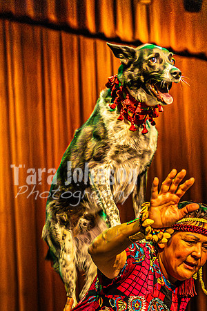 2026 Mutts in Motion - Rehearsal 6 - TJP (55 of 59)