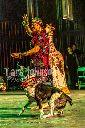 2026 Mutts in Motion - Rehearsal 6 - TJP (49 of 59)