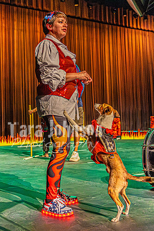 2026 Mutts in Motion - Rehearsal 8 - TJP (4 of 70)