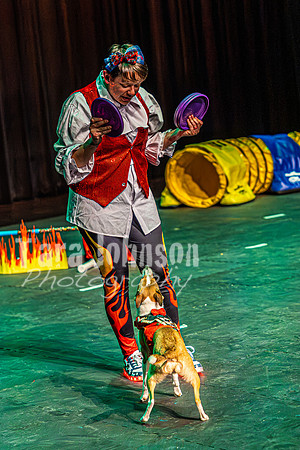 2026 Mutts in Motion - Rehearsal 8 - TJP (5 of 70)