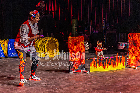 2026 Mutts in Motion - Rehearsal 8 - TJP (6 of 70)