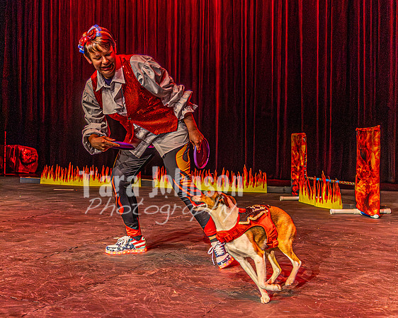 2026 Mutts in Motion - Rehearsal 8 - TJP (13 of 70)