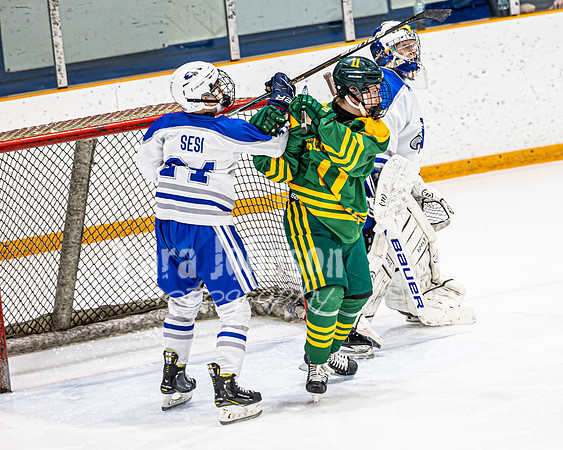 2023 LHS Hockey vs. Howell - TJP (22 of 238)