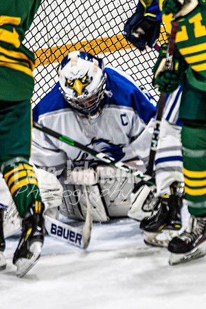 2023 LHS Hockey vs. Howell - TJP (33 of 238)