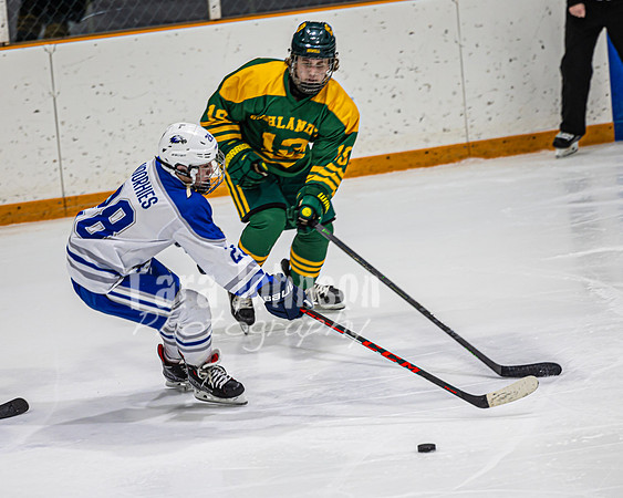2023 LHS Hockey vs. Howell - TJP (41 of 238)