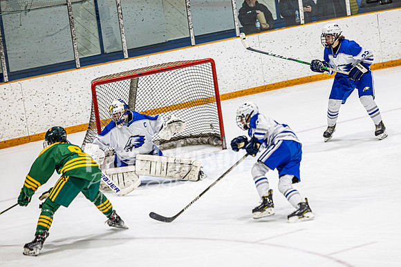 2023 LHS Hockey vs. Howell - TJP (54 of 238)