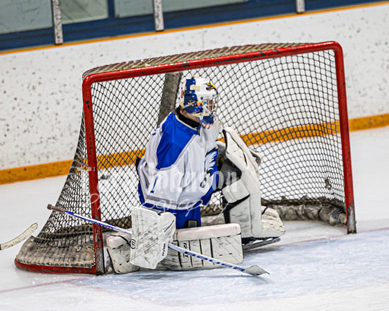 2023 LHS Hockey vs. Howell - TJP (62 of 238)