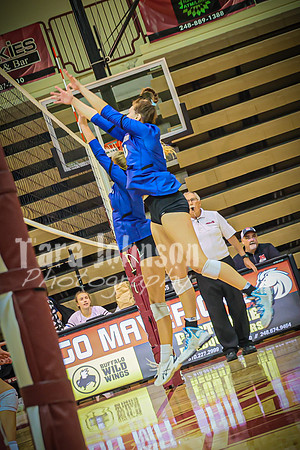 2023 LHS Vball vs. MHS - TJP (41 of 195)
