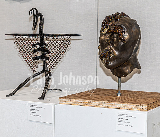 2023 Scholastic  Art Show - TJP (9 of 209)
