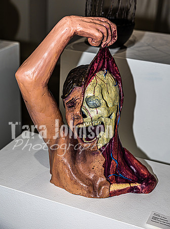 2023 Scholastic  Art Show - TJP (171 of 209)