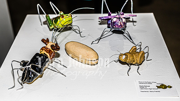 2023 Scholastic  Art Show - TJP (181 of 209)