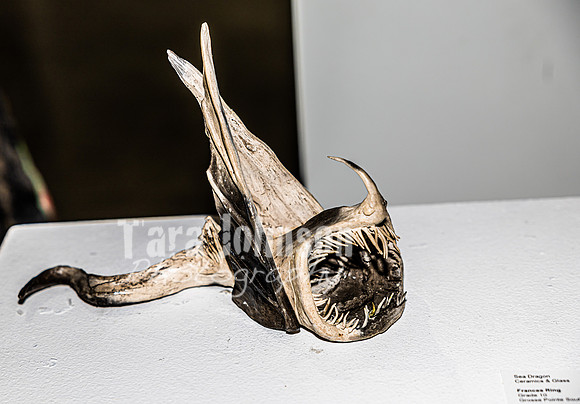 2023 Scholastic  Art Show - TJP (184 of 209)
