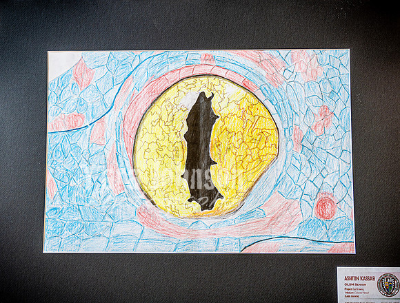 2025 OLSM Art Show - Art Selections - TJP (61 of 237)