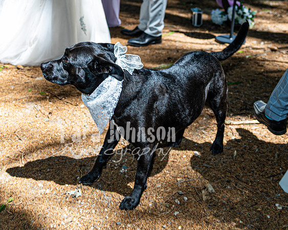 Dylan & Kendall Bailey - Ceremony - TJP (51 of 143)