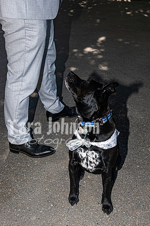 Dylan & Kendall Bailey - Reception - TJP (47 of 124)