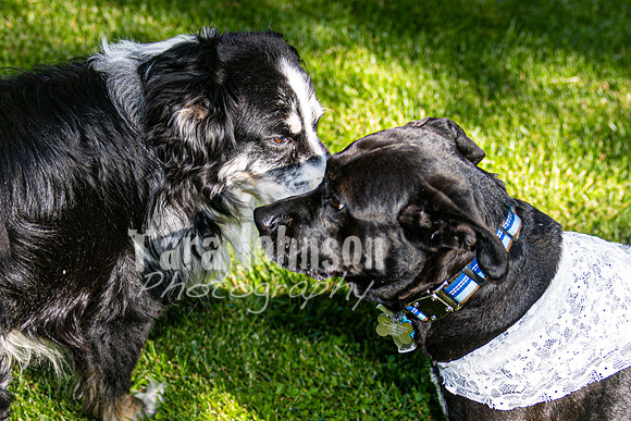 Dylan & Kendall Bailey - Reception - TJP (65 of 124)