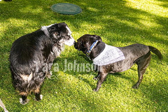 Dylan & Kendall Bailey - Reception - TJP (64 of 124)