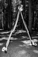 Dylan & Kendall Bailey - Complete - BW - TJP (4 of 529)