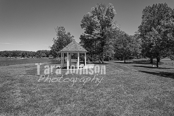 Dylan & Kendall Bailey - Complete - BW - TJP (24 of 529)