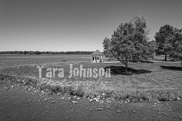 Dylan & Kendall Bailey - Complete - BW - TJP (62 of 529)