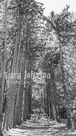 Dylan & Kendall Bailey - Complete - BW - TJP (74 of 529)