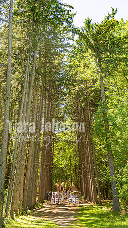 Dylan & Kendall Bailey - Ceremony - TJP (1 of 143)