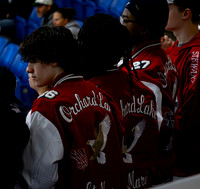 2025 Hockey Semifinals - EL (11 of 19)