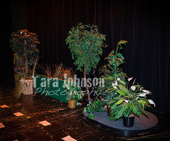 2023 Rising Stars - Backstage - TJP (3 of 60)