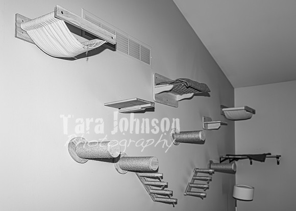 Arik Kildal - Complete [BW] - TJP (5 of 102)