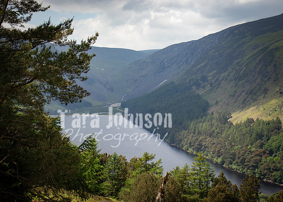 Glendalough Field Trip (79 of 117)