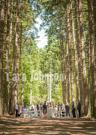 D & K Bailey Wedding 2026_Full (48 of 115)