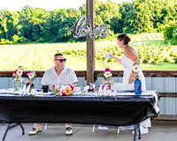 Michael & Brittany - The Cake & Shots - TJP (1 of 21)
