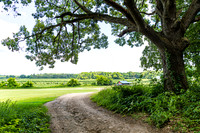 Michael & Brittany - The Venue - TJP (1 of 51)