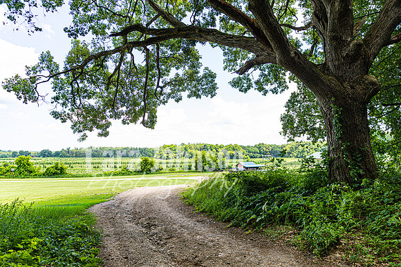 Michael & Brittany - The Venue - TJP (1 of 51)