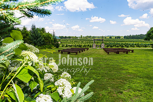 Michael & Brittany - Complete [Color] - TJP (5 of 633)