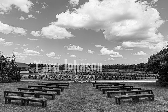Michael & Brittany - Complete [BW] - TJP (4 of 633)