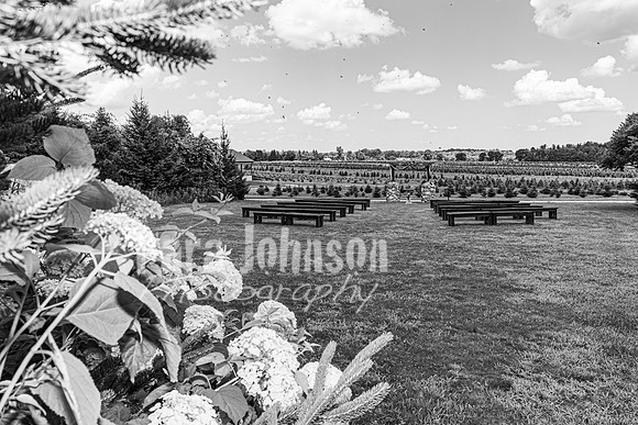 Michael & Brittany - Complete [BW] - TJP (5 of 633)