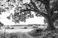 M & B - Complete [BW]
